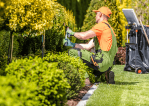 Landscaping Proposal Writing